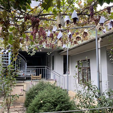 אוש Guest House Vip מראה חיצוני תמונה