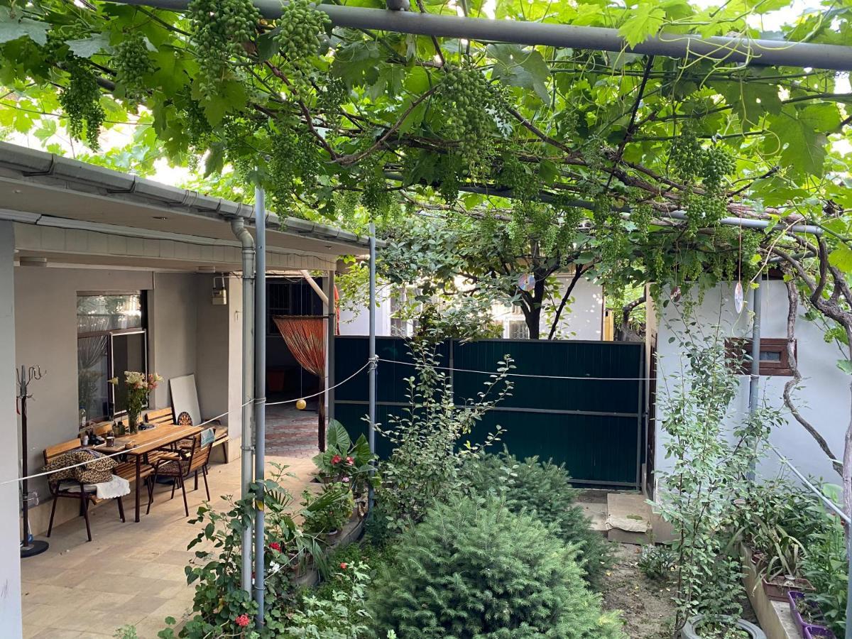 אוש Guest House Vip מראה חיצוני תמונה